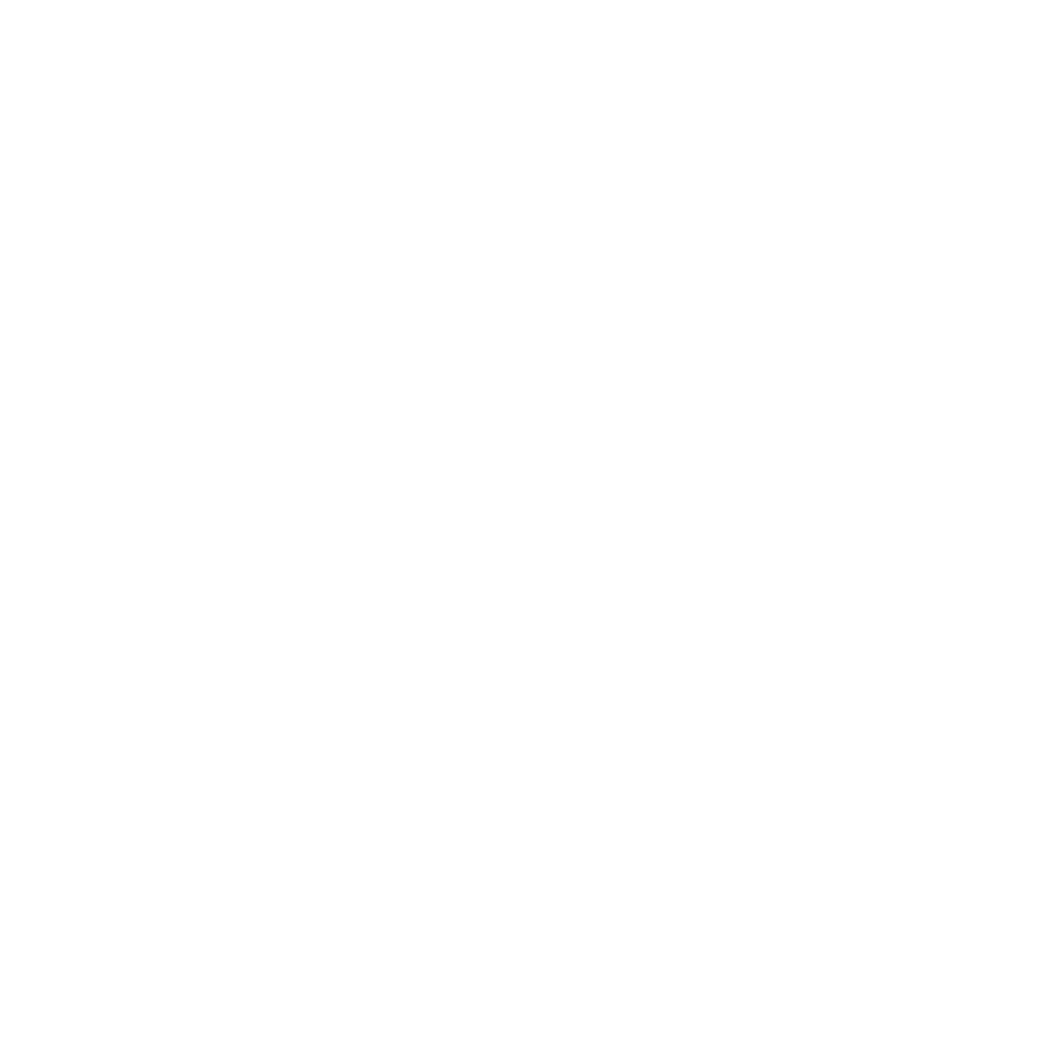 advertising media icon